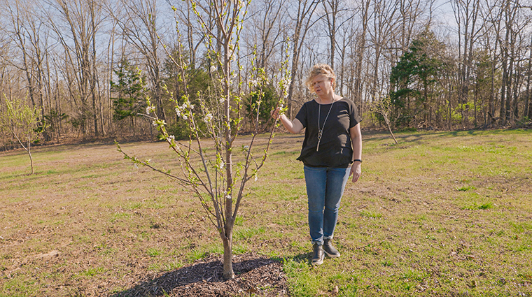 Shay examines one of the pear tree saplings she planted in her yard.