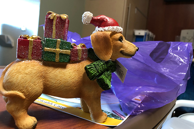 Randy received a yellow lab figurine, bearing gifts and wearing a Santa hat, on December 24, 2024, from hematology and medical oncology fellow Ajay Iyer, MD, and other members of Randy’s care team.