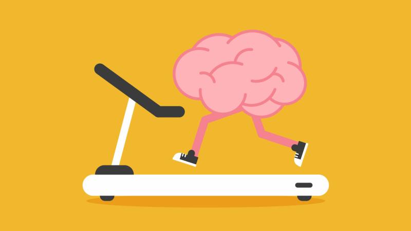brain graphic