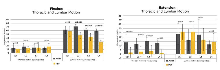 VBT Graphic